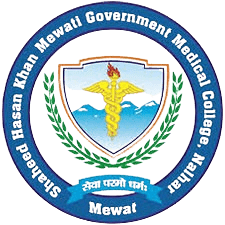 Shaheed Hasan Khan Mewati Government Medical College Nalhar, Haryana 122107